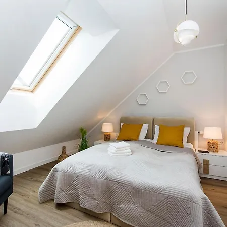 Neptun - Exclusive *